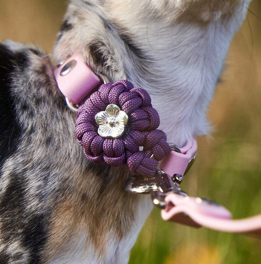 Halsband „Ratatouille”