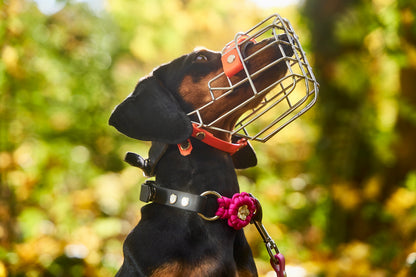 Halsband „Ratatouille”