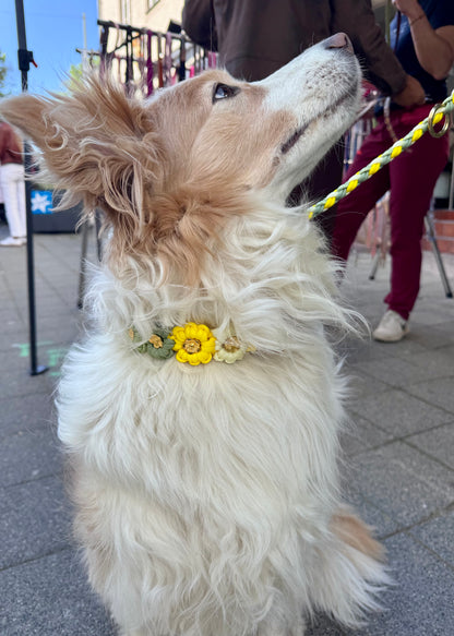 Halsband „Blümchen"