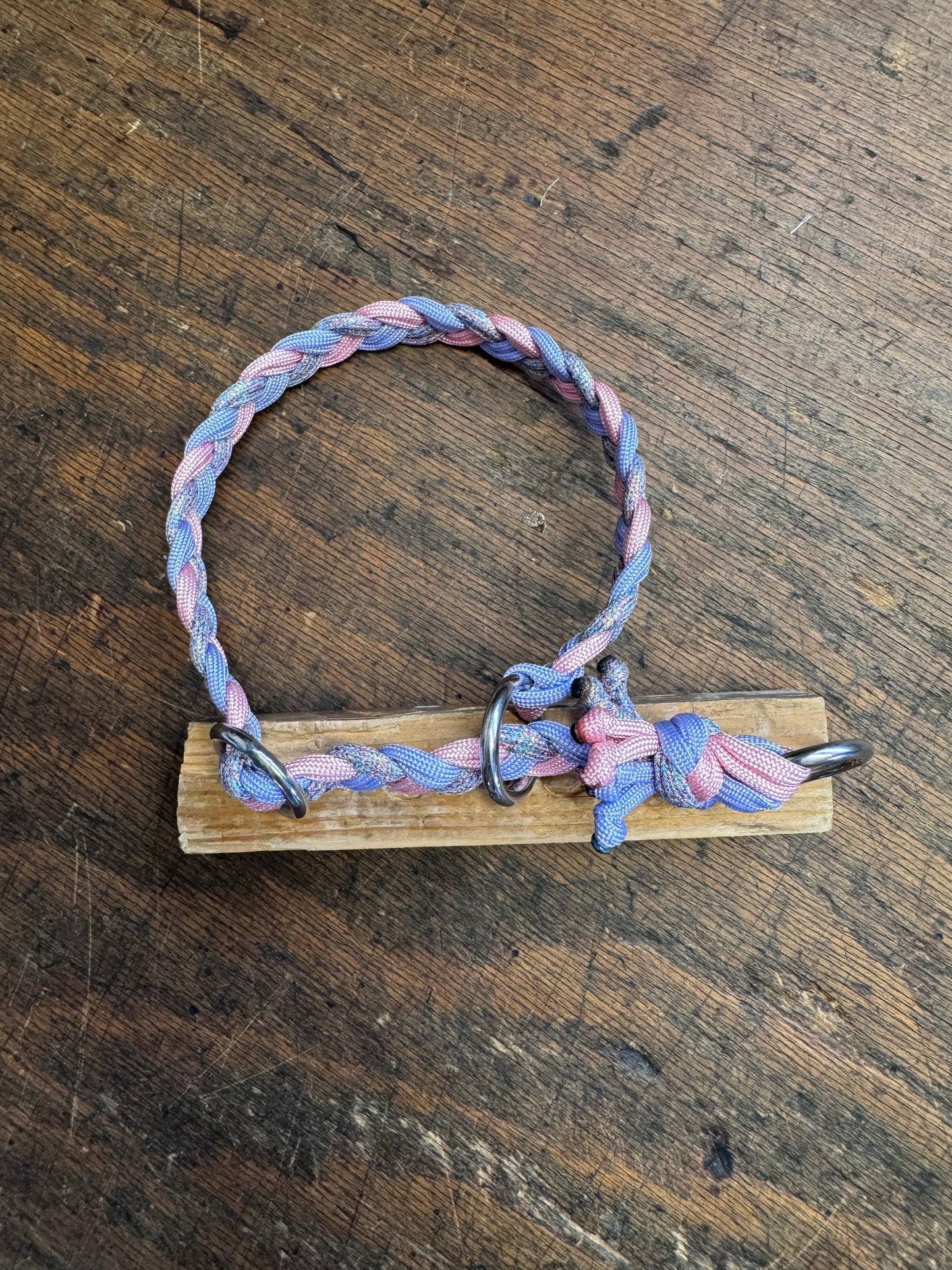 Zugstopphalsband aus Paracord