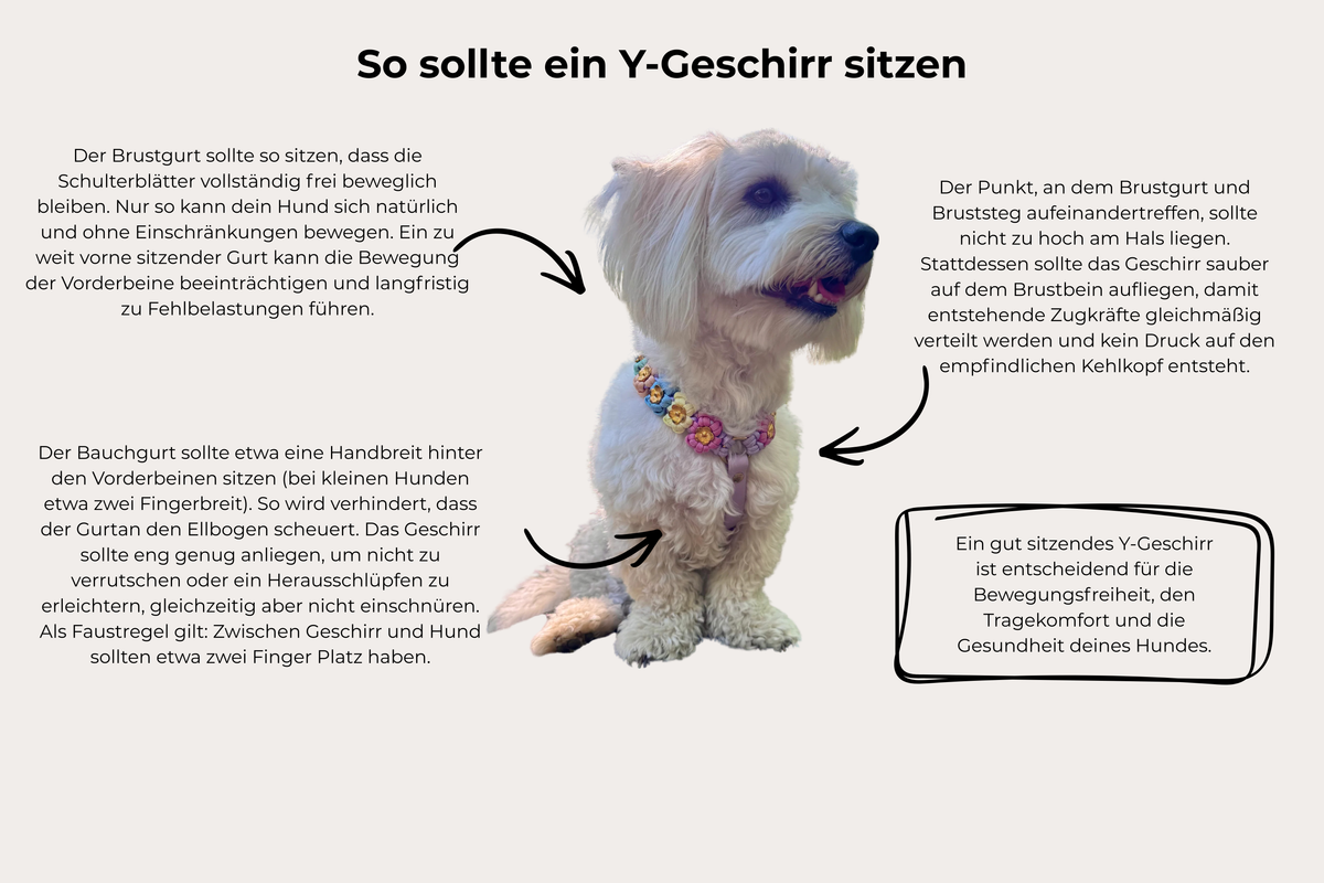 Geschirr "Blümchen"