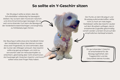 Geschirr "Blümchen"