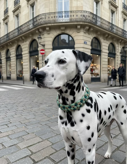 Halsband „Erdmännchen"