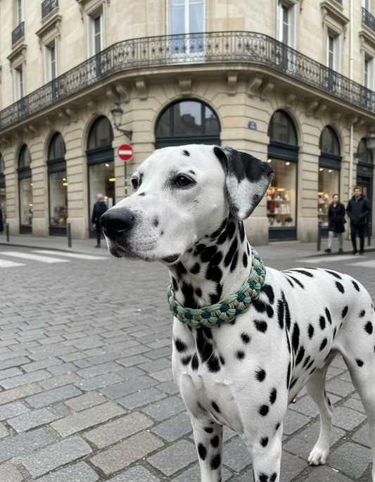 Halsband „Erdmännchen"