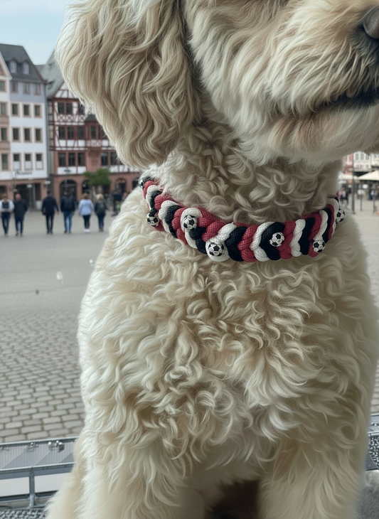 SGE - Halsband „Tapsi“