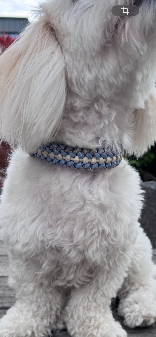 Halsband „Räuber“