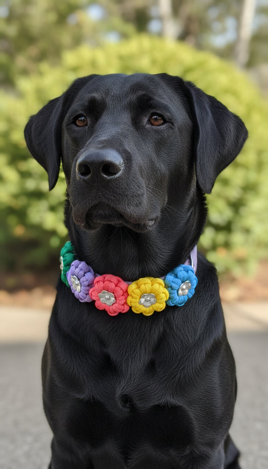 Bestseller: Halsband „Blümchen“ - Kunterbunt